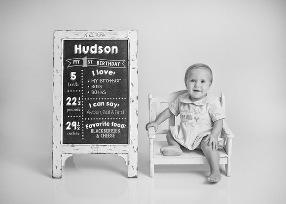 Hudson_OneYear_017bw