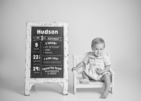Hudson_OneYear_018bw