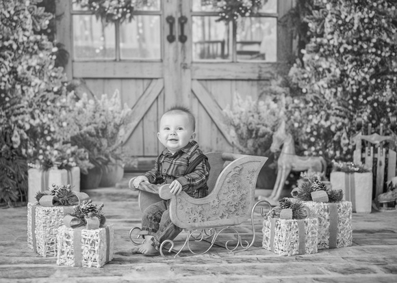 Summers_Christmas2023_09bw